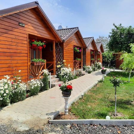 Cabanele Deltei Дунавэцу-де-Жос Экстерьер фото