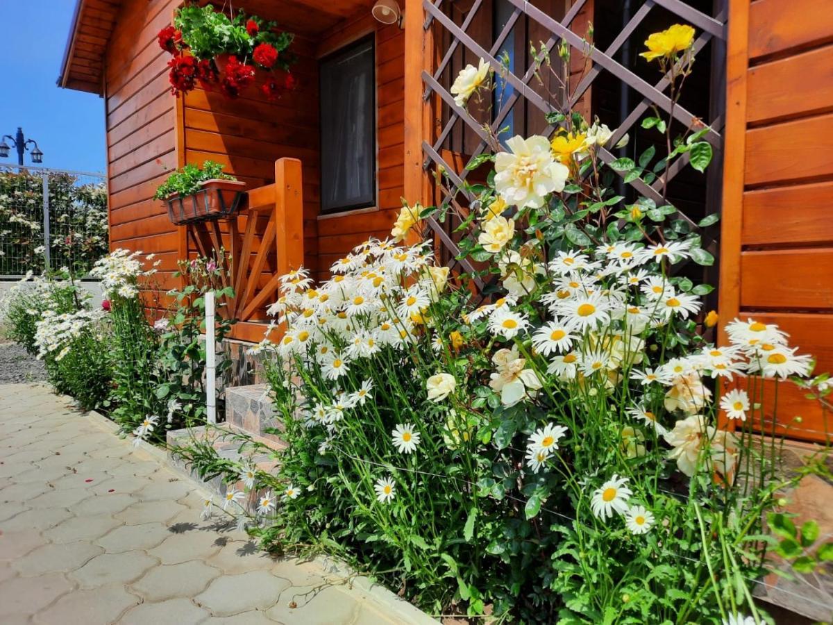 Cabanele Deltei Дунавэцу-де-Жос Экстерьер фото